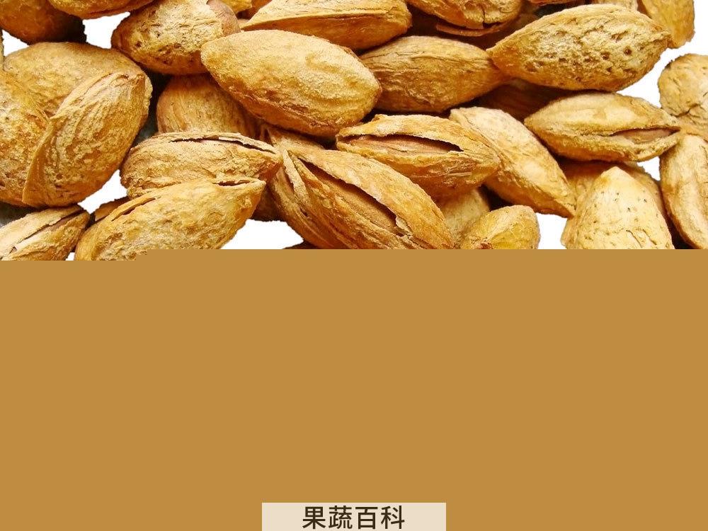 果蔬百科杏仁