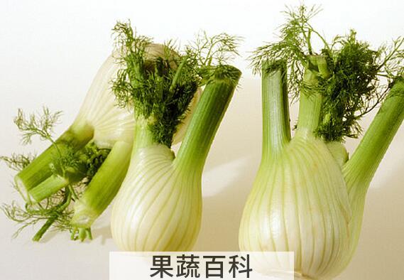 果蔬百科茴香根能吃吗 茴香根的功效与作用