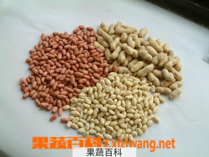 果蔬百科花生