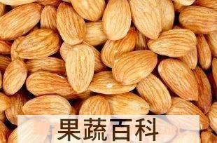 果蔬百科杏仁