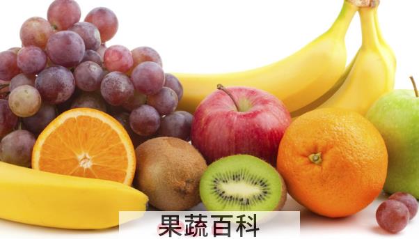 果蔬百科水果
