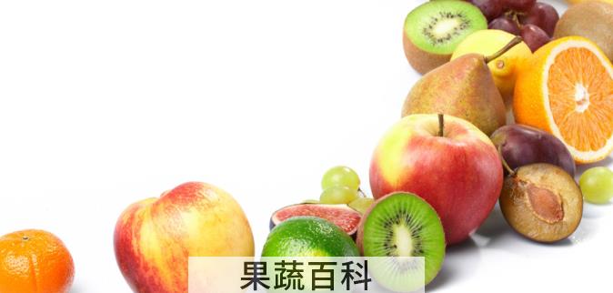 果蔬百科水果