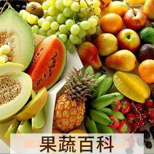 果蔬百科水果