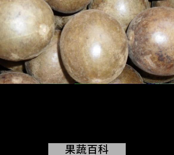 果蔬百科罗汉果