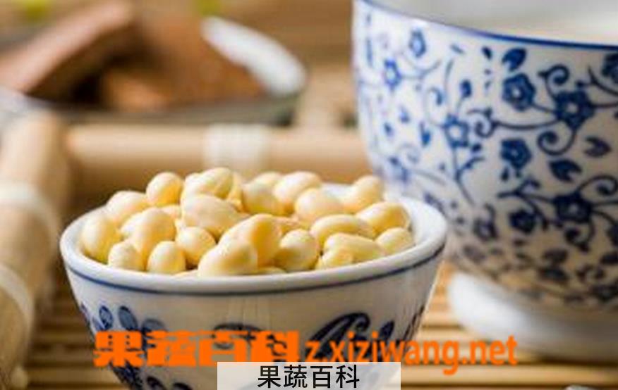 果蔬百科常喝豆浆的坏处