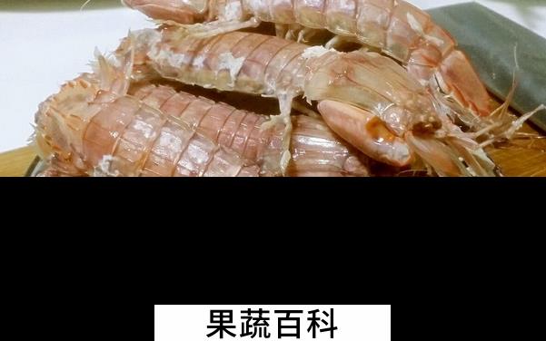 果蔬百科皮皮虾怎么吃