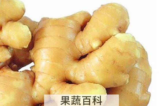 果蔬百科生姜的功效与禁忌
