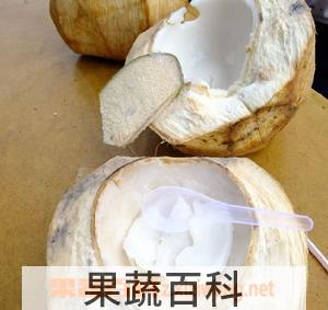 果蔬百科椰子肉