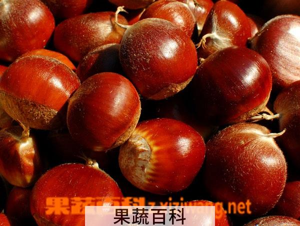果蔬百科板栗