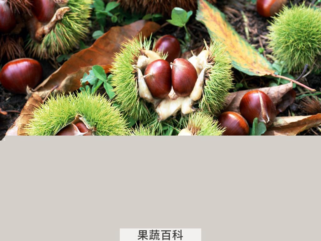果蔬百科板栗