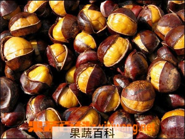 果蔬百科板栗