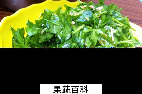 果蔬百科穿心莲怎么做好吃
