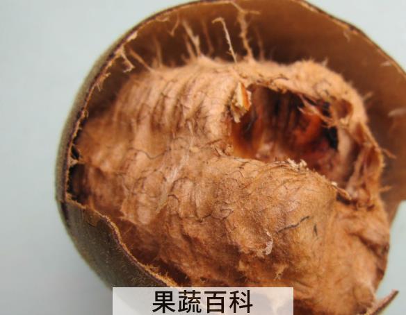 果蔬百科干罗汉果