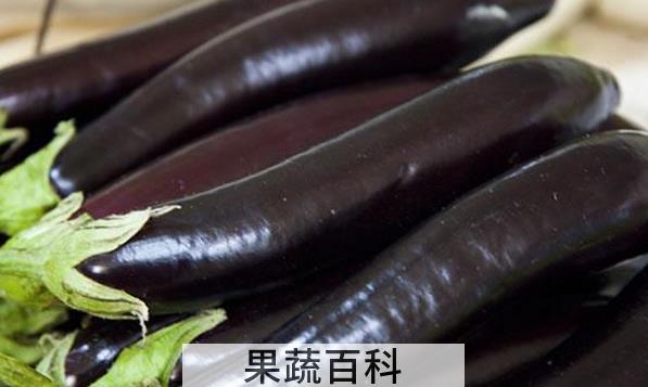 果蔬百科茄子的药用价值
