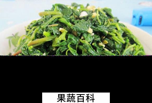 果蔬百科蒜蓉野苋菜的做法