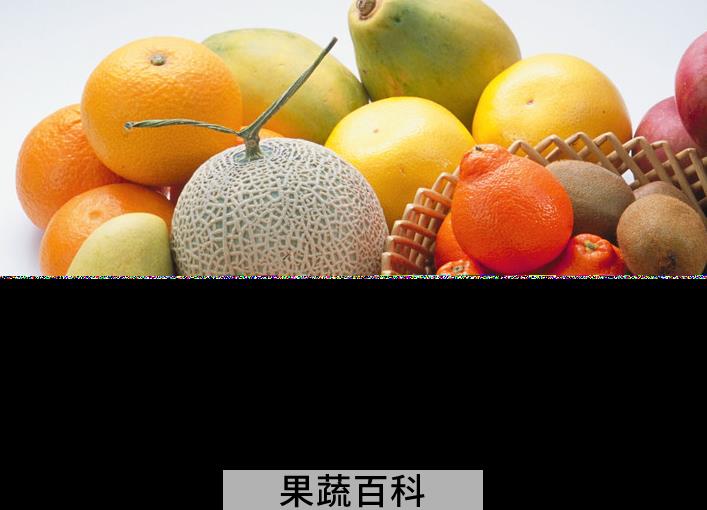果蔬百科水果