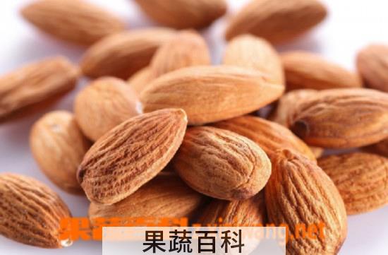 果蔬百科杏仁