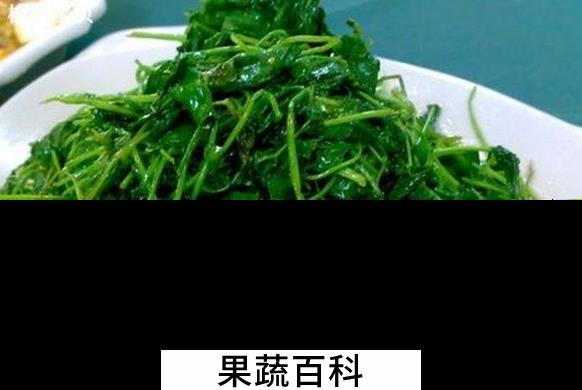 果蔬百科金花菜的常见吃法