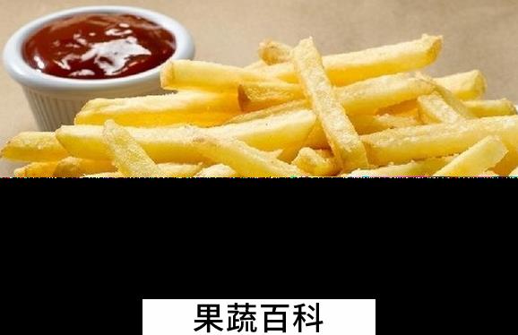 果蔬百科薯条怎么炸才会脆