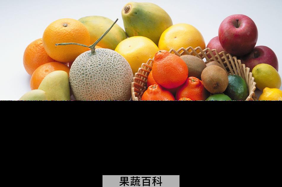 果蔬百科水果