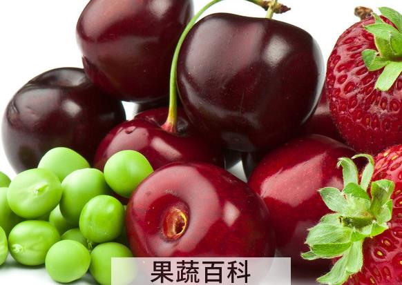 果蔬百科水果