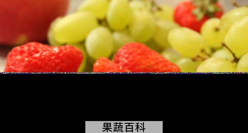 果蔬百科水果