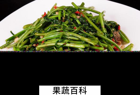 果蔬百科通心菜的功效与作用