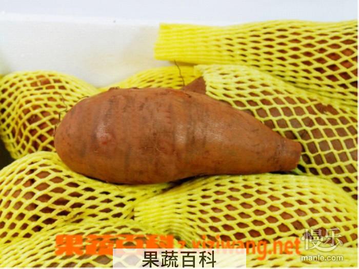 果蔬百科雪莲果