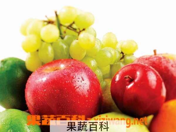 果蔬百科水果