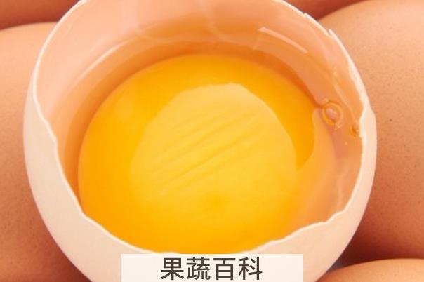 果蔬百科吃生鸡蛋的坏处有哪些