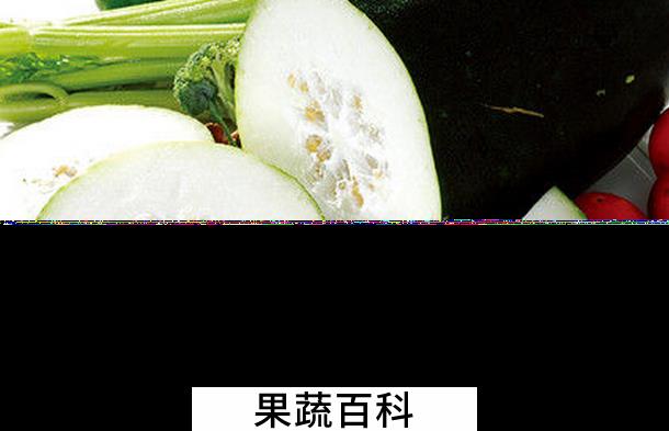 果蔬百科冬瓜的营养价值