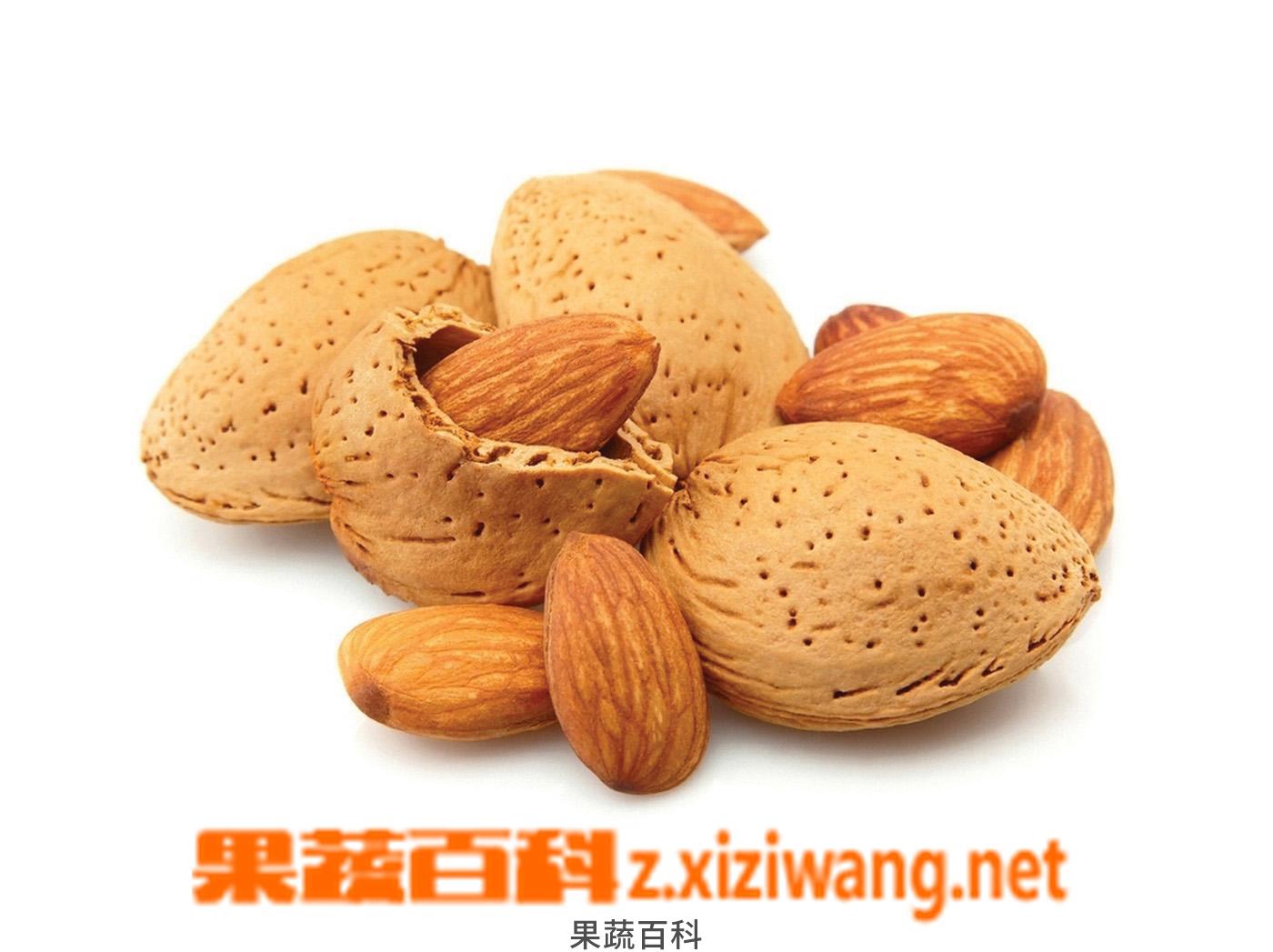 果蔬百科杏仁