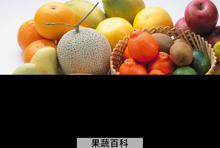 果蔬百科水果