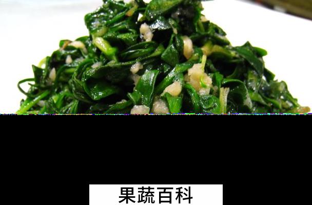 果蔬百科苦菜怎么做好吃