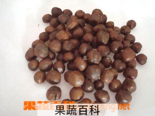 果蔬百科榛子