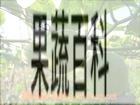 果蔬百科