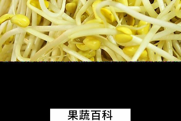 果蔬百科吃黄豆芽的好处有哪些
