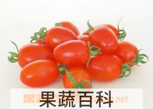 果蔬百科圣女果