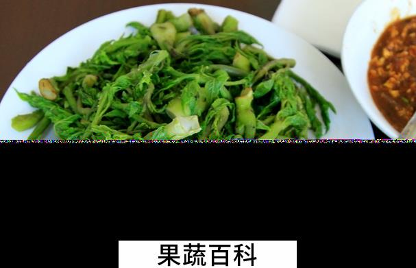 果蔬百科刺嫩芽的功效与作用