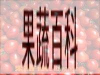 果蔬百科樱桃番茄