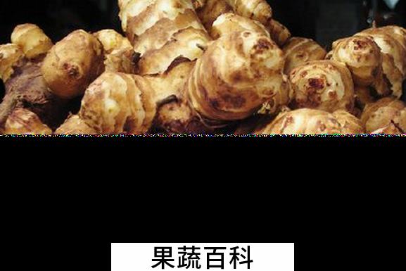 果蔬百科洋姜的保健用法