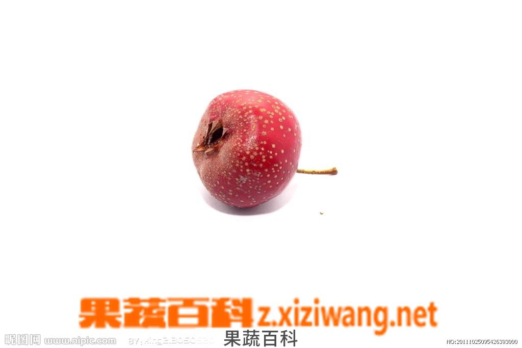 果蔬百科山楂