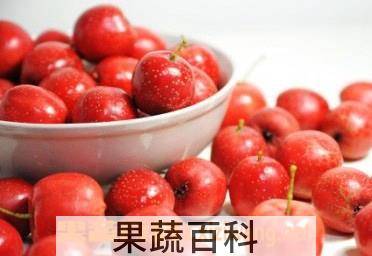 果蔬百科山楂