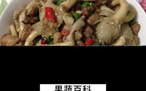 秀珍菇的做法大全菜谱 秀珍菇怎样做最好吃