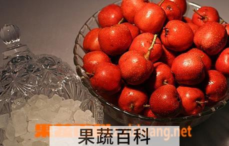 果蔬百科山楂