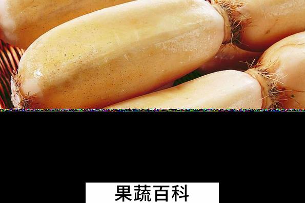 果蔬百科藕的食疗功效与用法