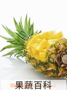 果蔬百科菠萝