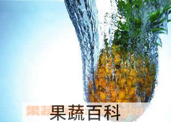 果蔬百科菠萝的功效与作用 营养美味助消化