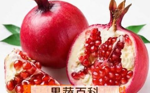 石榴产地,生长环境和品种介绍 石榴产地,生长环境和品种有哪些