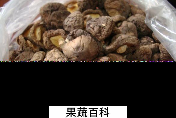 果蔬百科冬菇的功效与作用